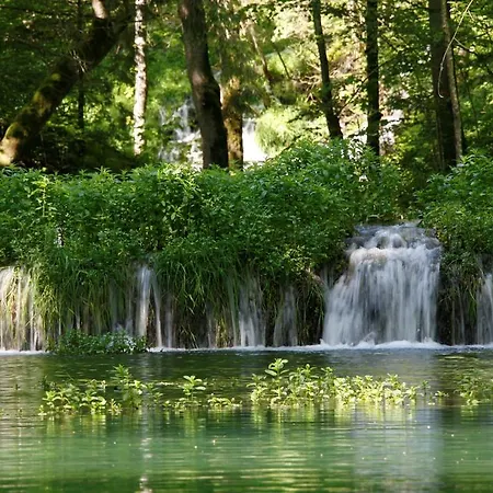 Holder Anhausen (Hayingen)