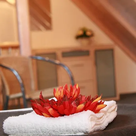 Holder Anhausen (Hayingen)