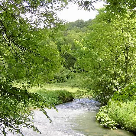Holder Anhausen (Hayingen)