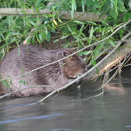 Apartment Holder Anhausen (Hayingen)