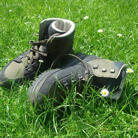 Holder Anhausen (Hayingen)