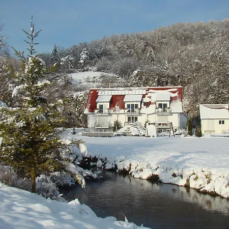 Holder Anhausen (Hayingen)