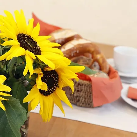 Holder Anhausen (Hayingen)